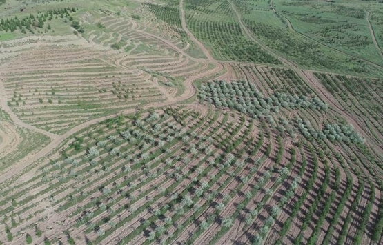 Ankara Atatürk Orman Çiftliği arazisi 158 dekar daha küçüldü!