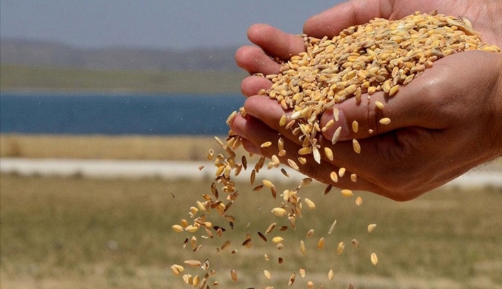 TMO dan son dakika açıklaması! Hububat alımlarında yeni dönem başlıyor!