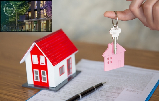 Lily House yarın görücüye çıkıyor!