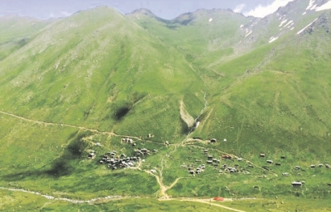 WWF Doğu Karadeniz'deki Yeşil Yol projesini onaylamıyor!