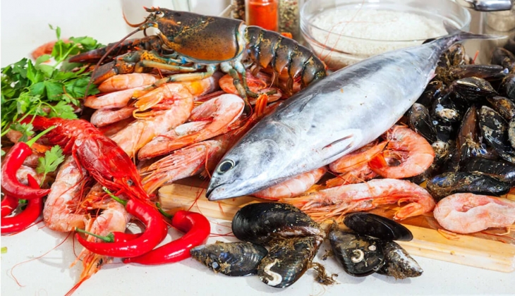 İstanbul Balık Hali 11 Mayıs fiyatları belli oldu! İşte İstanbul Balık Hali 11 Mayıs 2022 fiyat listesi...