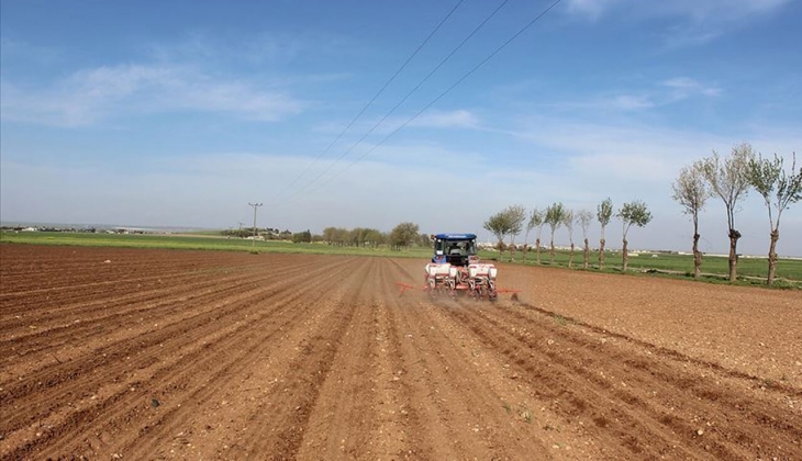 Tarım ve Orman Bakanlığı açıkladı! 12 bin 676 projeye hibe desteği verilecek!