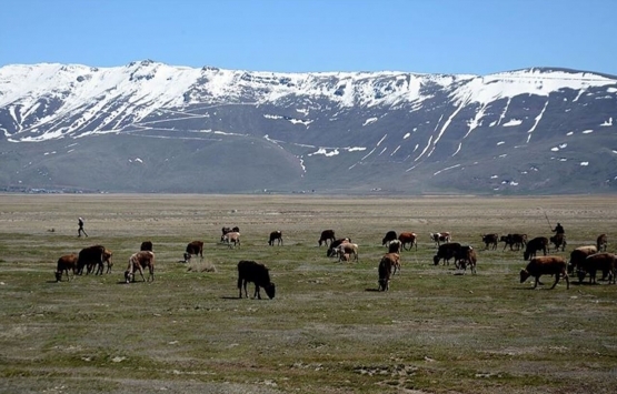 Çayır ve mera alanlarının değişimi meclis gündeminde!