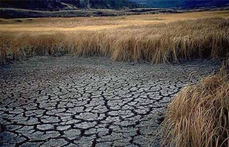 Muğla ve Aydın'daki bir çok köyde su sorunu yaşanıyor!