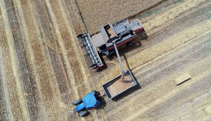 Buğday, arpa ve mısırda son dakika! Peş peşe fiyatlar açıklandı! Çiftçiler hemen il il kontrol edin! 