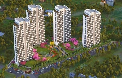 Nata İncek fiyatları!