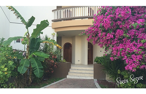 Belize’de yaşam ve gayrimenkul!