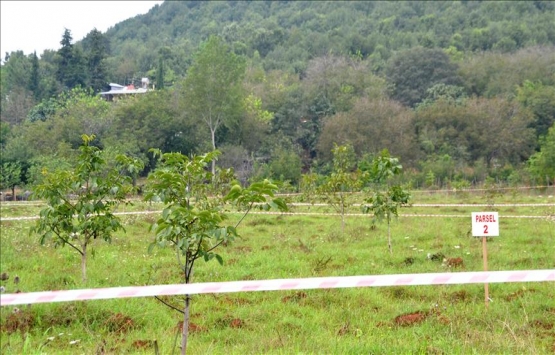 2B arazilerinden 2 milyar TL gelir bekleniyor!