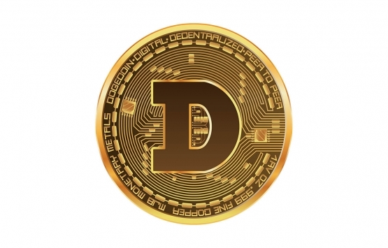 dogecoin avantajları