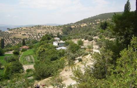 Aydın'da 6 adet satılık arsa: 1 milyon 881 bin TL!