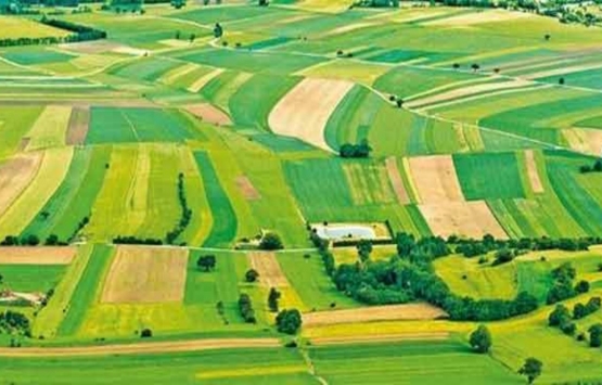 1 dönüm kaç metrekaredir? Dönümün metrekare hesabı nasıl yapılır?