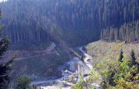 Karadeniz'deki HES'ler için kaç ağaç kesilecek?