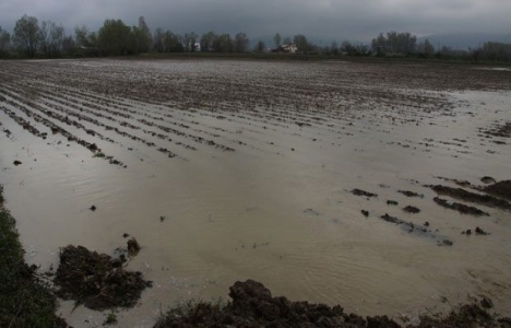 İnegöl'de tarım arazilerinde su baskını!