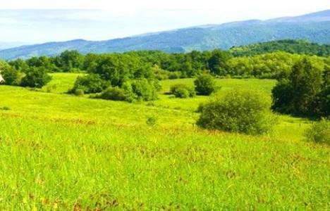 Milli Emlak Genel Tebliği Sıra No: 298!