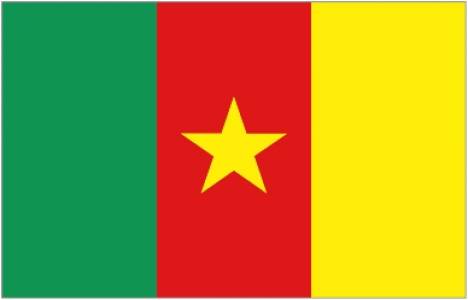 Kamerunlular Türkiye'den ev alabilir mi?