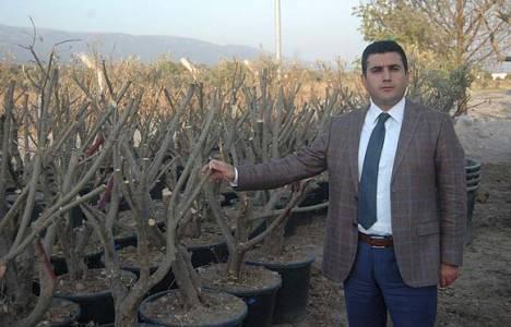 Kemalpaşa Belediyesi çevre yatırımlarına devam ediyor!