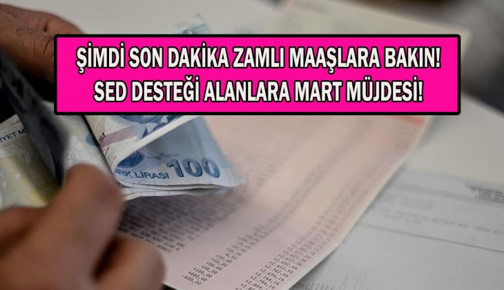 Başvurana tam 3 bin 38 lira veriliyor! Aile Bakanlığından SED yardımı nasıl alınır? Peş peşe açıklandı! 