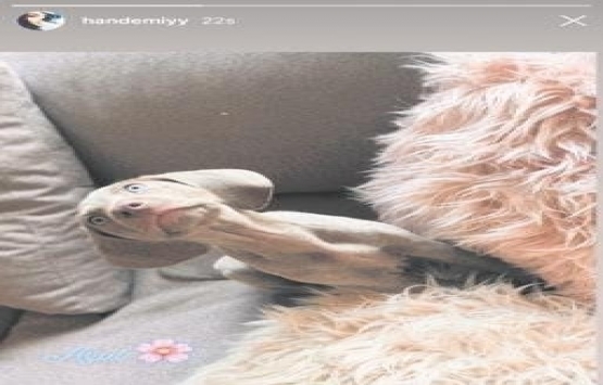 Hande Erçel ablası Gamze Erçel’in yanına taşındı!