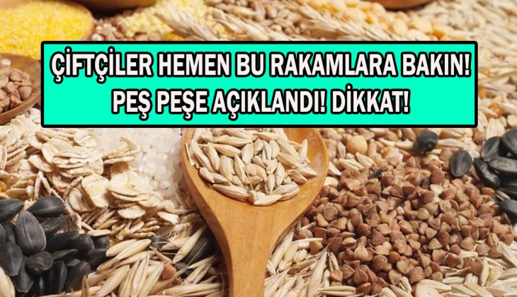 Buğday, arpa ve mısırda son dakika! Peş peşe fiyatlar açıklandı! Çiftçiler hemen il il kontrol edin! 