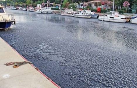  Kurbağalıdere tamamen temizlendi!