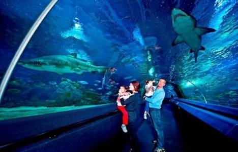 Sea Life Akvaryum Kurban Bayramı 2015te açık mı?