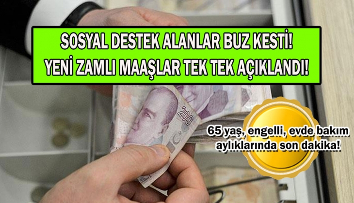 65 yaş aylığı, evde bakım parası, engelli maaşı bu ay ne kadar yatacak? Hemen zamlı maaşlarınıza bakın! 
