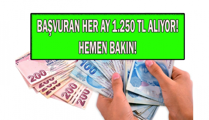 Aile ve Sosyal Hizmetler Bakanlığı'ndan şok! Her ay 1.250 TL ödenecek! Aralık ayı Aile Destek ödemeleri ne zaman? 