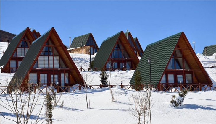 İnternetten bungalov kiralamayı düşünenler dikkat! 250 den fazla kişi 5 milyon TL dolandırıldı!