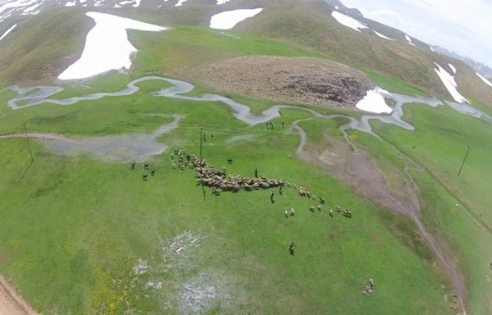 Antalya da Yörükler yaylalara taşınıyor!