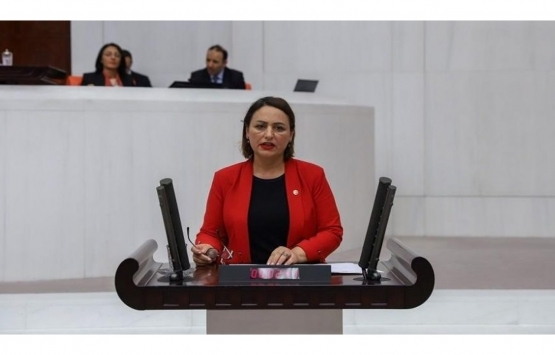 Müzeyyen Şevkin'den Çukurova Bölgesel Havalimanı ihaleleri hakkında soru önergesi! 