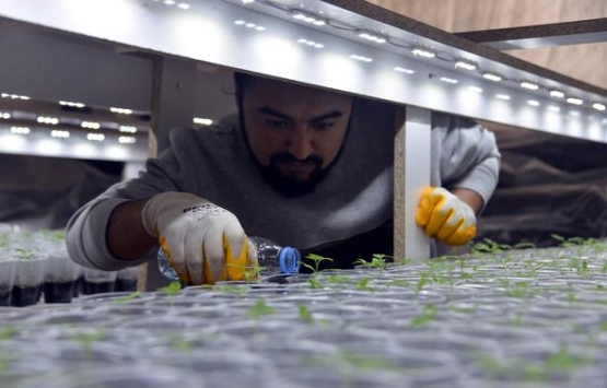 Evinin salonuna kendi serasını kurdu!