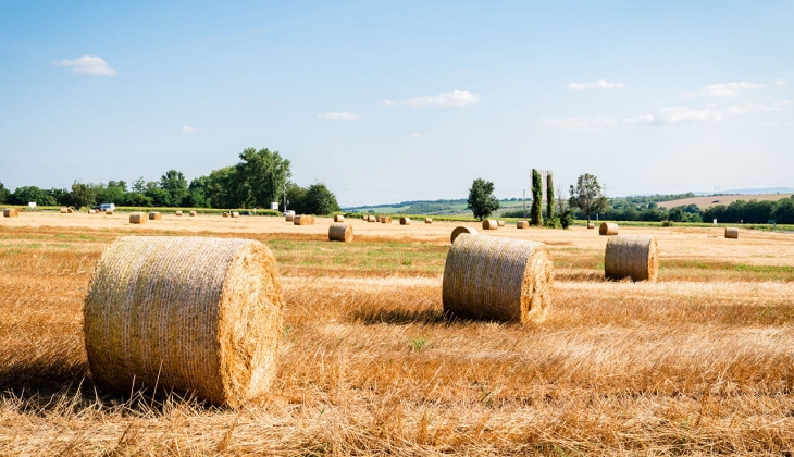 Gıda fiyatları düşüyor mu? Gıda Fiyat Endeksi Eylül de ne oldu? 