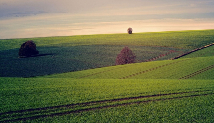 İki ilde 10 adet arsa ve zeytinlik satılıyor! Yatırımcılar dikkat!