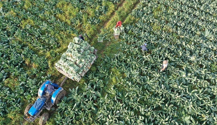 Çiftçiler dikkat! Mazot gübre desteği güncellendi! 2023 mazot gübre ödemesi ne zaman, kaç lira? Hemen siz de bakın!