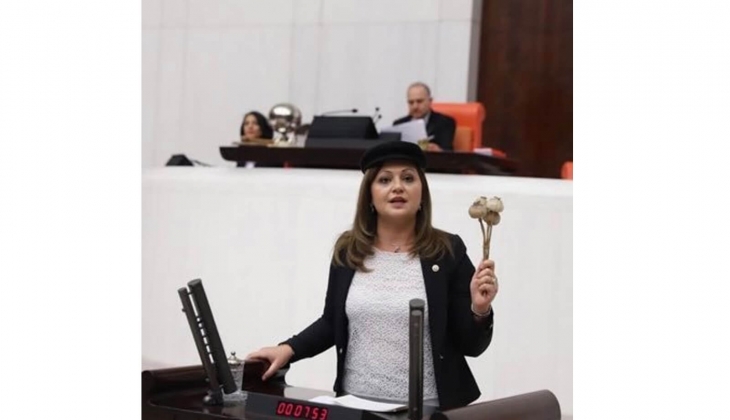 Milletvekilleri emekli maaşlarını tartıştı: Kirada oturup ev sahibi olmayan emeklilere kira desteği verilsin!