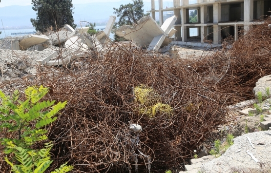 Ordu da Kıyı Kanunu na aykırı binalar yıkıldı!