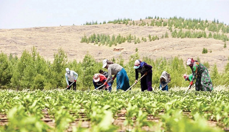 Bakan Kirişci açıkladı! Hemen hesaplarınızı kontrol edin.. Para yatmış olabilir