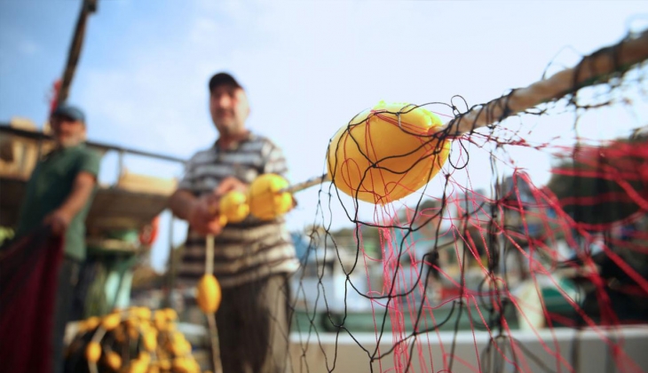 Kilosu 50 TL oldu! Daha da zamlanmadan alın