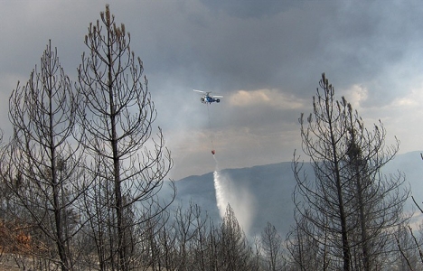 Sancaktepe'de orman yangını çıktı!