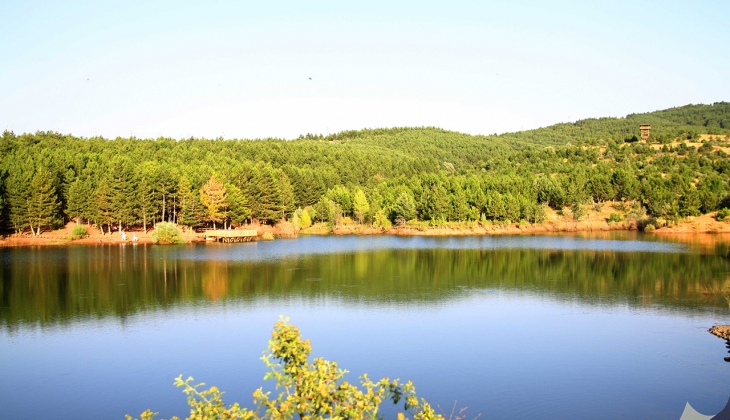 Cumhurbaşkanı Erdoğan kararını verdi! Sınırlar değişecek