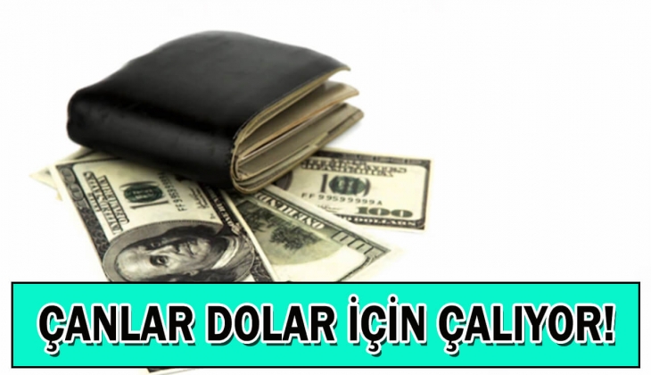 Dolarda kritik süreç! Bu sınırı geçerse çok yakında 20 TL'yi görecek!