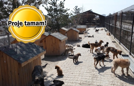 Ataşehir Hayvan Barınağı onay bekliyor!