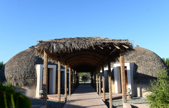 İran da hurma yapraklarından otel inşa edildi!