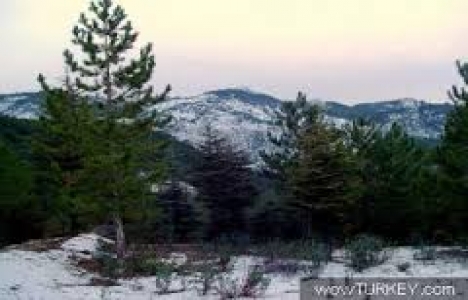 Kütahya Murat Dağı'da yol çalışması başladı!