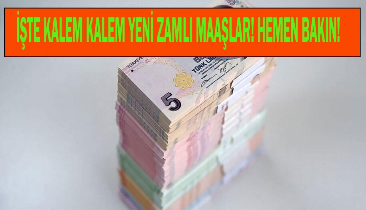 65 yaş aylığı, engelli aylığı, evde bakım parası ödemelerinde Eylül depremi! Hangi maaş kaç TL oldu?