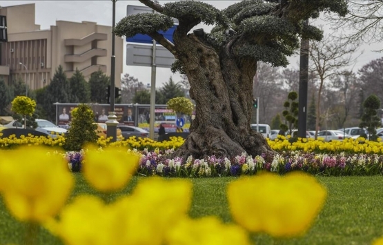 Gaziantep Şahinbey'de 23.1 milyon TL'ye satılık 2 gayrimenkul!
