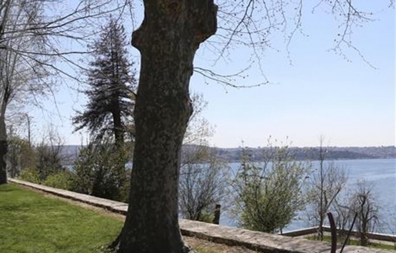 Kuzey Ormanları Savunması ndan Beykoz daki ormanlık alanın imara açılmasına tepki!