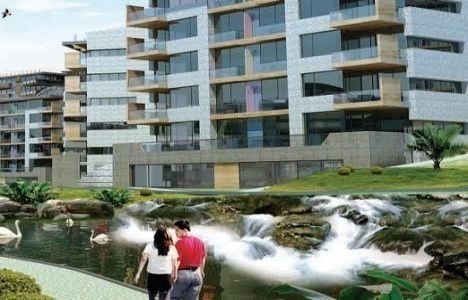 Zermeram Konya konut fiyatları!