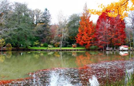 Atatürk Arboretumu çekim mekanı oldu!