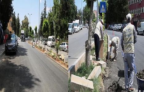 Şanlıurfa Birecik'in caddeleri yenileniyor!